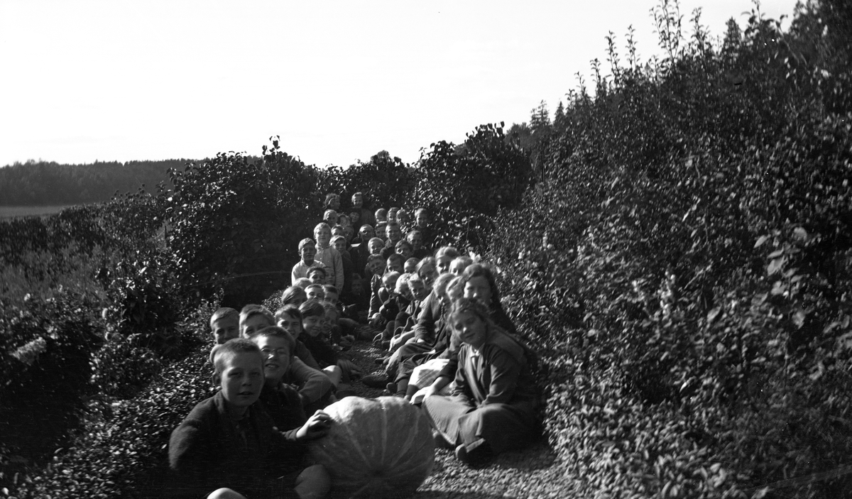 Skoleelever oppstilt i skolehagen på Hengsengen, Bygdø Kongsgård med gresskar, ca. 1920.