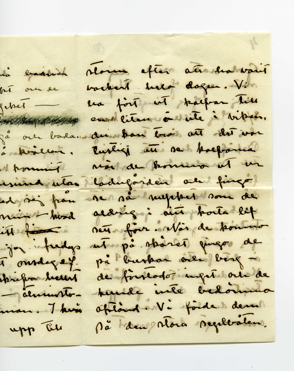 Brev 1909-07-07 från Ester Bauer till John Bauer, bestående av åtta sidor skrivna på båda sidor av tre pappersark (det ena vikt). Huvudsaklig skrift handskriven med svart bläck. På sista raden finns två liggande, spetsiga ovaler inritade före ”Din”. Förmodligen saknas sidorna 5-8.
.
BREVAVSKRIFT:
.
[Sida 1]
Vidinge d. 7/7 09

Min John

Jag sitter och ser på dina
kort och kysser dej. Jag skulle
vilja stå bakom din stol
och böja ditt hufvud bakåt
och kyssa, kyssa dej. Jag
är [överstruket: att] allt bra kär i dej
John. Nu skall jag gå
och bada, och ligga på de
varma släta stenarna och
tänka på dej. Jag är
ensam i stugan och mår
.
[Sida 2]
utmärkt. De små barnen
må också utmärkt och de
hälsa dej så mycket – 
Nej – [överstruket: oläsligt]
nu måste jag gå och bada.
Nu är kl 10 på kvällen.
JahnErik har kommit
hem från Furusund utan
att ha bref med sej från
dej. Johnne min – hvad
betyder det. ditt [överstruket: fina]
sista bref fick jag i fredags
och nu är det onsdag e.f.
Du skall ju skrifva hellst
för hvarje dag – åtminsto-
ne för hvarannan. I kväl
tycks det blåsa upp till
.
[Sida 3]
storm efter att ha varit
vackert hela dagen. Vi
ha fört ut kalfvar till
en liten ö ute i viken,
du kan tro att det var
lustigt att se kalfvarna
när de kommo ut ur
ladugården och fingo
se så mycket som de
aldrig i sitt korta lif
sett förr. När de kommo
ut på skäret gingo de
på buskar och berg – 
de förstodo inget och de
kunde inte bedöma
afstånd. Vi förde dem
på den stora segelbåten
.
[Sida 4]
4             3
God natt med dej
min egen John. Kyss
mej. Jag längtar – 
8/7. Jag ville vara hos
dej och se dina teckningar.
Behöfver du inte mej
till modell? Du ska
få se hur fet jag blifvit
då du kommer hit. sista
veckan tyngde jag 8 hg.
Fortsätter jag så väger
jag mot 60 kg. ännu
är det förstås bara 49.
Har du varit och fått
tagit bort dina Polyper
som du har i näsan?
annars gör det genast
.
[Kommentar: Förmodligen saknas sidorna 5-8]
.
[Sida 9]
9.
Jag skall ut på, jag
skall gå upp på ett berg
så att jag ser hafvet, så
blir det kanske bättre. God
natt med dej min egen
rare man. Sof godt och
dröm om mej.
9/7 I dag är det gråväder.
Måsar och Tärnor skrika
utanför mitt fönster. de ha
fått mat i dag. Sjömans
har fått en half tunna
strömming på sina ”skjötar”
i morse och måsarna få 
innanmätet, de flaxa så
att det glittrar hvitt för
ögonen och deras skrik verkar
.
[Sida 10]
10.
haf. [överstruket ? ?] Det blåser
nordan och jag var för
en stund sedan ute på
den yttersta udden, hvad
vågorna bråkade och fröste.
du minns väl grynnan som
är strax utanför, den lyste
mörk i vågdalarna men
när gågorna kommo blef
den skummande hvit.
Hafvet är hemskt, jag
vill inte ha dej där nere, 
då hoppade jag själf dit också
bara jag träffade dej, Johnne
min, då du kommer skall
jag bara med segelbåt emot
dej. Tag icke kanoten med
dej.
.
[Sida 11]
sid. 11
älskade vännen min. i
morgon skall Martin segla 
[inskrivet: till landet] om vädret tillåter, så
får du då detta bref. Tycker 
du att du inte får bref
nog ofta? Skrif ofta
till mej, jag blir så
glad för hvarje bref, skrif
om dina teckningar, skrif
om de bodar och om du
seglar mycket. Du har 
väl de vattentäta skotten
verkligen vattentäta och
.
[Sida 12]
12
så skall du ha en lifboj
med [överstruket: ?] i båten och den
skall du ha på dej när
du seglar – lyd nu
snällt och var rädd om 
dej för min skull. Gruffa-
och Spink börja att bli
väluppfostrade hundar, de
ha varit inne hela efter-
middagen, för det har reg-
nat, och de ha uppfört sej
väl. God natt med dej
Din [överstruket: Esther-]
Lisa
.
[inskrivet längst upp till höger på Sida 1: ]
Hälsa alla de dina. 
Har pappa 
kommit hem
igen?