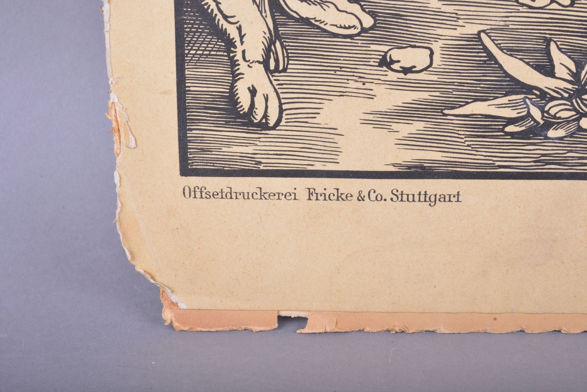 Rektangulær plansje av hvitt (gulnet) papir limt på et tykkere papir. Motivet er rektangulært og sentrert midt på plansjen og avgrenset av en svart trykt strek. Motivet er i svart-hvitt. Det er trykte svarte bokstaver under motivet, og monogram av kunstnerens initialer nederst til høyre på motivet. Påskrift gjort med blyant øverst på plansjen.