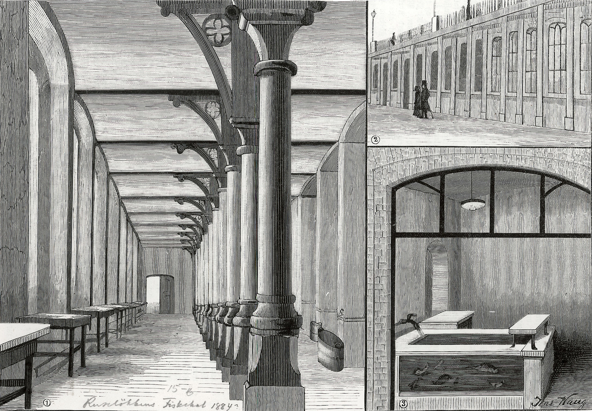 arkitektur, basarer, interiør, fiskehall, fiskekum