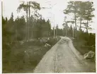 Badelunda sn, Badelundaåsen.
Landsväg på grusås.