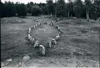 Badelunda sn, Anundshögsområdet, Långby.
Skeppssättning och småhögar.