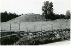 Badelunda sn, Anundshögsområdet, Långby.
Anundshögen, skeppssättning och mindre hög. I förgrunden gärdesgård och blommor.