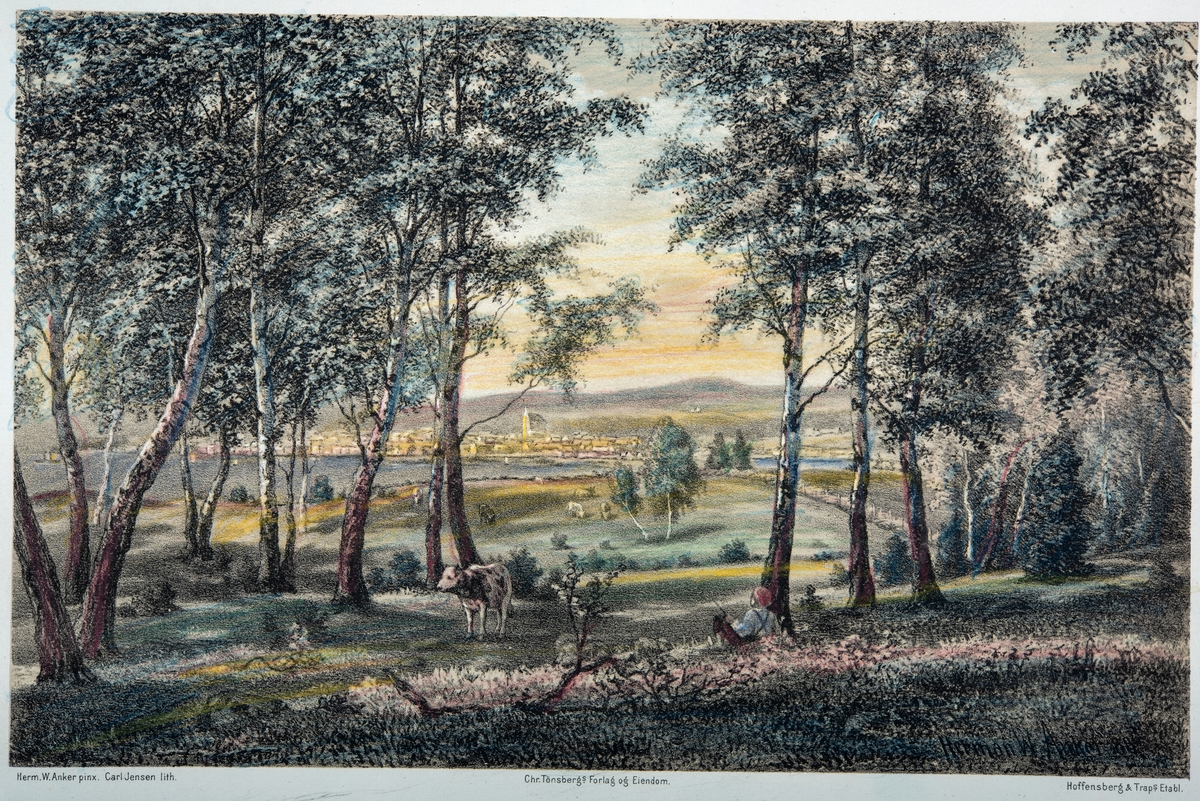 Parti ved Hamar sett fra Åkervika. Håndkolorert lithografi-trykk fra 1870-åra. Se også 0401-04487. utgitt av Chr. Tønsbergs Forlag og Eiendom. Herm. W. Anker pinx. Carl Jensen lith.
Gamle håndkolorete, fargelagte skillingstrykk, kobbertrykk, steintrykk.