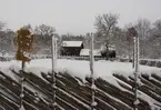 Vinterlandskap på Skansen. Kyrkhultsstugan i bakgrunden.