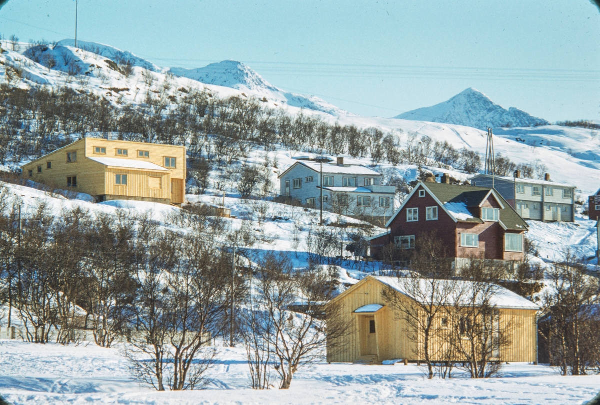 Hus ved Bjarnetjønna i Sandnessjøen. Huset øverst til venstre er Per Lillegaards hus i Prestmarkveien, Sandnessjøen. Nybygget i forgrunnen ble barnehage.