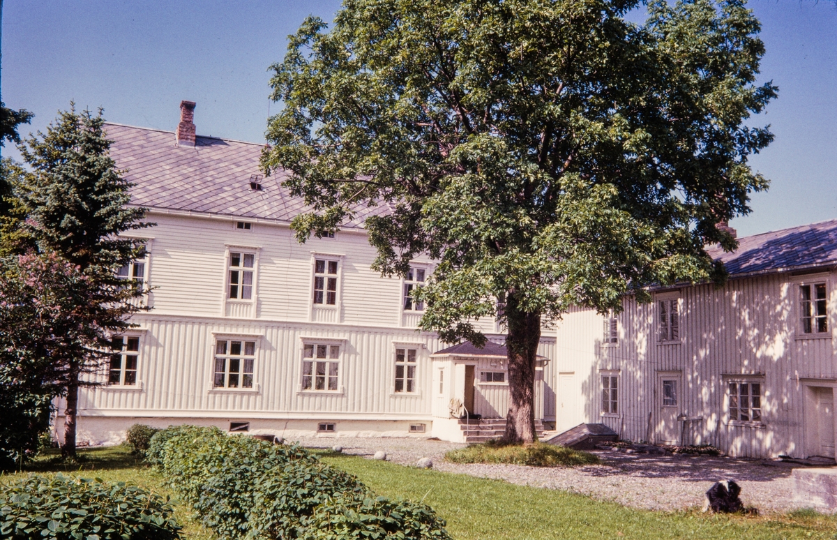 Hus på Tjøtta 1964.