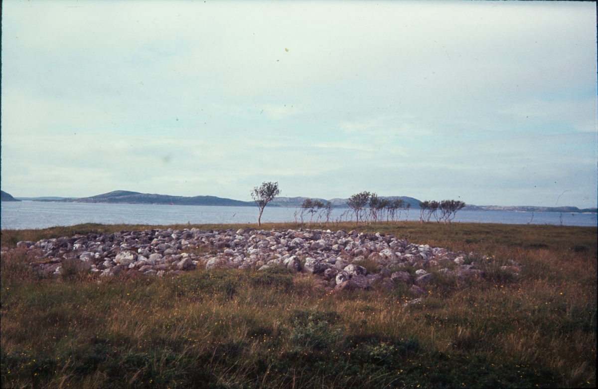 Tjøtta, 1964