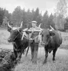 David Lindqvist plöjer med sina oxar vid hemmanet Ömon i Västra Harg. Hans föräldrar hade tagit över torparkontraktet för gårdens drift 1913. Redan 1923 hade fadern gått bort och David blev den av barnen som tog över. Nu är året 1977 och David har tydligt hållt kvar vid det gamla.