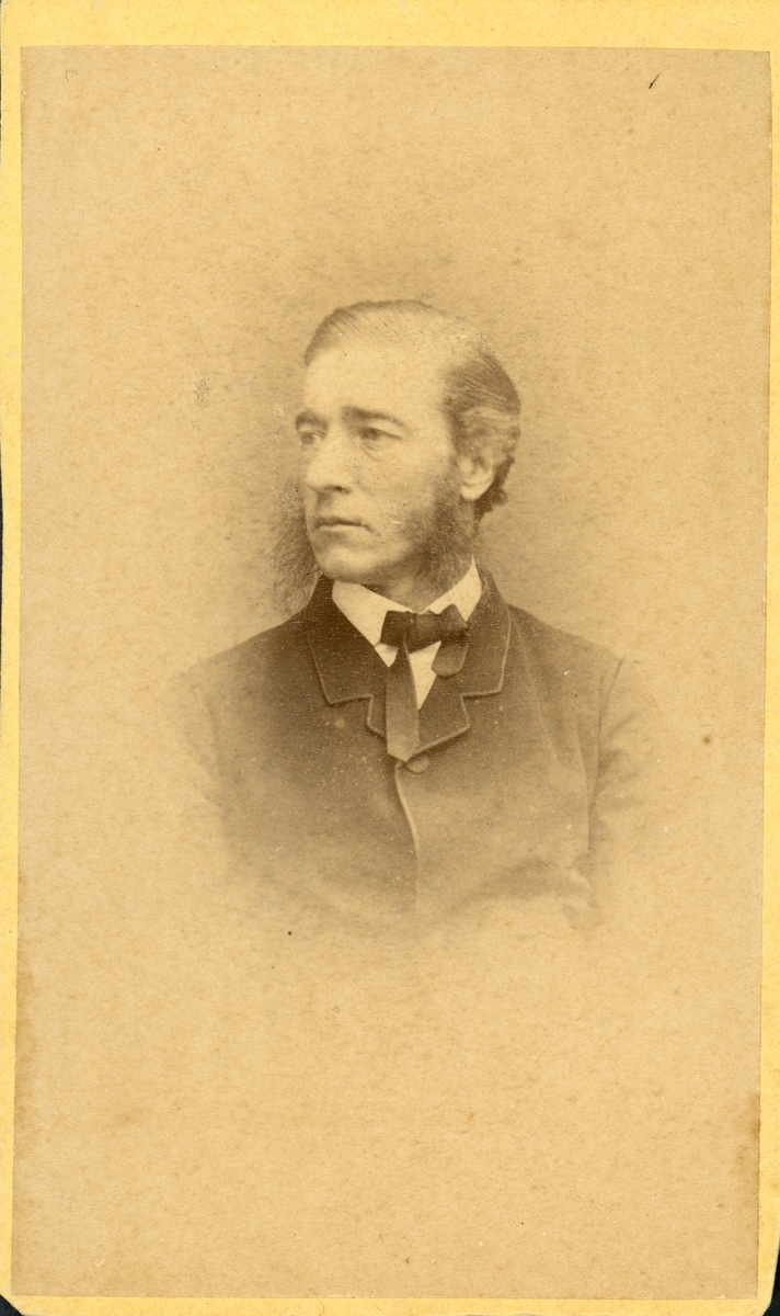 Porträtt av sjöofficeren och konstnären Anton Molander (1829–1908)