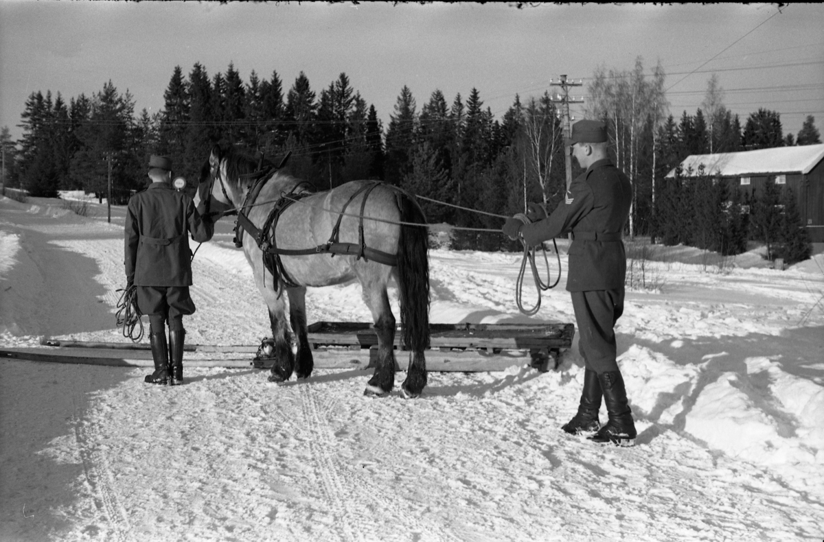 Seks bilder fra Hærens Hesteskole på Starum ca. årsskiftet 1957/1958. Noen av leirens befal viser hest og en slags slede. Personene er ikke identifisert.