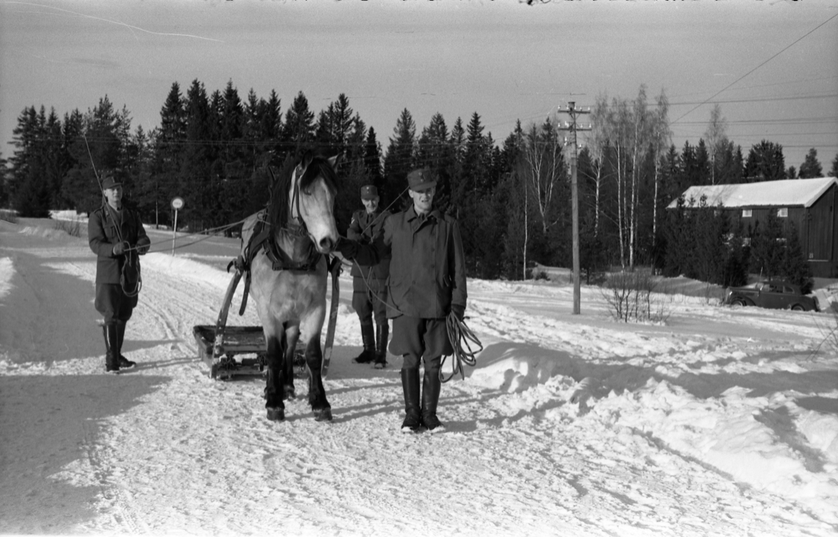 Seks bilder fra Hærens Hesteskole på Starum ca. årsskiftet 1957/1958. Noen av leirens befal viser hest og en slags slede. Personene er ikke identifisert.