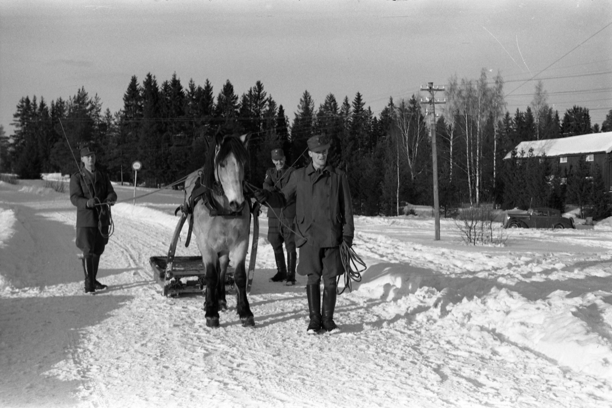 Seks bilder fra Hærens Hesteskole på Starum ca. årsskiftet 1957/1958. Noen av leirens befal viser hest og en slags slede. Personene er ikke identifisert.