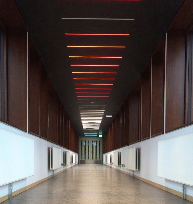 I den lange korridoren som binder hovedbygningen sammen med gymsalen er et stort antall lysarmaturer montert av kunstneren Børre Sæthre. RGB-LED-lysarmaturene, integrert i taket og programmert i forskjellige intervaller skaper en bølge av bevegelse. Sekvensene av intervaller er direkte inspirert av ulike bevegelsesmønstre fra idrett som for eksempel sommerfugl svømming eller skøyter. Slik har verket et direkte forhold til de daglige brukerne, da bevegelse er selve utgangspunktet for all forskning og aktivitet ved Idrettshøgskolen.
 
Korridoren har vinduer langs begge sider og et skarpt lys på dagtid, allikevel klarer LED-lysene å lyse trenge gjennom, og på kveldstid kan kunstverket ses på lang avstand i hele området.
 
Et stort antall studenter, ansatte og besøkende går gjennom korridoren hver dag. Mesteparten av tiden brukes korridoren som en del av transportetappe, en passasje fra ett sted til et annet. Allikevel kan området oppfattes som en rolig plass som noen ganger blir brukt som en form for rekreasjonsrom: et rom for alenetid eller for å ha et uformelt møte. Dette blir derfor et ideelt sted for en isolert kunstopplevelse, som forhåpentligvis utløser tilskuerens fantasi om hvilken form for bevegelse lysformasjonen representerer.

Hvert RGB-LED-armatur har 180 dioder i fargene rød, grønn og blå, og kan skape millioner av forskjellige farger og nyanser av lys. Kunstneren relaterer installasjonen til de klare og sterke farger som brukes i sport-tekstiler - for eksempel neonfarger. Den gjentatte strømmen av lys som representerer bevegelse, kan tolkes som byggets egne og fargerike puls.