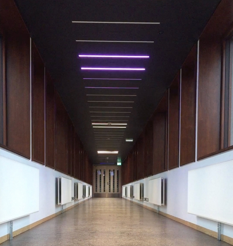 I den lange korridoren som binder hovedbygningen sammen med gymsalen er et stort antall lysarmaturer montert av kunstneren Børre Sæthre. RGB-LED-lysarmaturene, integrert i taket og programmert i forskjellige intervaller skaper en bølge av bevegelse. Sekvensene av intervaller er direkte inspirert av ulike bevegelsesmønstre fra idrett som for eksempel sommerfugl svømming eller skøyter. Slik har verket et direkte forhold til de daglige brukerne, da bevegelse er selve utgangspunktet for all forskning og aktivitet ved Idrettshøgskolen.
 
Korridoren har vinduer langs begge sider og et skarpt lys på dagtid, allikevel klarer LED-lysene å lyse trenge gjennom, og på kveldstid kan kunstverket ses på lang avstand i hele området.
 
Et stort antall studenter, ansatte og besøkende går gjennom korridoren hver dag. Mesteparten av tiden brukes korridoren som en del av transportetappe, en passasje fra ett sted til et annet. Allikevel kan området oppfattes som en rolig plass som noen ganger blir brukt som en form for rekreasjonsrom: et rom for alenetid eller for å ha et uformelt møte. Dette blir derfor et ideelt sted for en isolert kunstopplevelse, som forhåpentligvis utløser tilskuerens fantasi om hvilken form for bevegelse lysformasjonen representerer.

Hvert RGB-LED-armatur har 180 dioder i fargene rød, grønn og blå, og kan skape millioner av forskjellige farger og nyanser av lys. Kunstneren relaterer installasjonen til de klare og sterke farger som brukes i sport-tekstiler - for eksempel neonfarger. Den gjentatte strømmen av lys som representerer bevegelse, kan tolkes som byggets egne og fargerike puls.