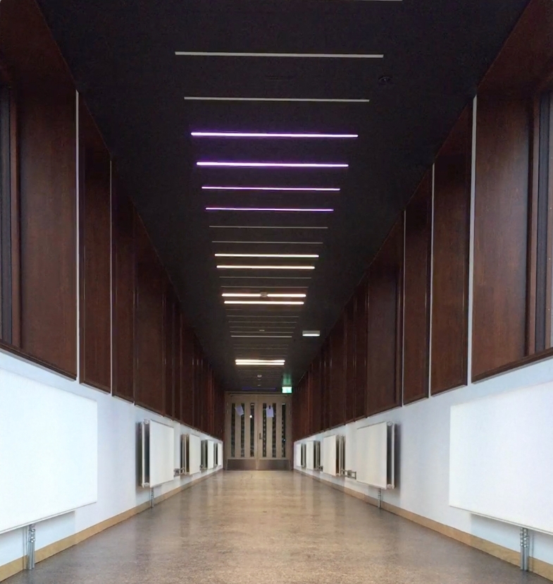 I den lange korridoren som binder hovedbygningen sammen med gymsalen er et stort antall lysarmaturer montert av kunstneren Børre Sæthre. RGB-LED-lysarmaturene, integrert i taket og programmert i forskjellige intervaller skaper en bølge av bevegelse. Sekvensene av intervaller er direkte inspirert av ulike bevegelsesmønstre fra idrett som for eksempel sommerfugl svømming eller skøyter. Slik har verket et direkte forhold til de daglige brukerne, da bevegelse er selve utgangspunktet for all forskning og aktivitet ved Idrettshøgskolen.
 
Korridoren har vinduer langs begge sider og et skarpt lys på dagtid, allikevel klarer LED-lysene å lyse trenge gjennom, og på kveldstid kan kunstverket ses på lang avstand i hele området.
 
Et stort antall studenter, ansatte og besøkende går gjennom korridoren hver dag. Mesteparten av tiden brukes korridoren som en del av transportetappe, en passasje fra ett sted til et annet. Allikevel kan området oppfattes som en rolig plass som noen ganger blir brukt som en form for rekreasjonsrom: et rom for alenetid eller for å ha et uformelt møte. Dette blir derfor et ideelt sted for en isolert kunstopplevelse, som forhåpentligvis utløser tilskuerens fantasi om hvilken form for bevegelse lysformasjonen representerer.

Hvert RGB-LED-armatur har 180 dioder i fargene rød, grønn og blå, og kan skape millioner av forskjellige farger og nyanser av lys. Kunstneren relaterer installasjonen til de klare og sterke farger som brukes i sport-tekstiler - for eksempel neonfarger. Den gjentatte strømmen av lys som representerer bevegelse, kan tolkes som byggets egne og fargerike puls.