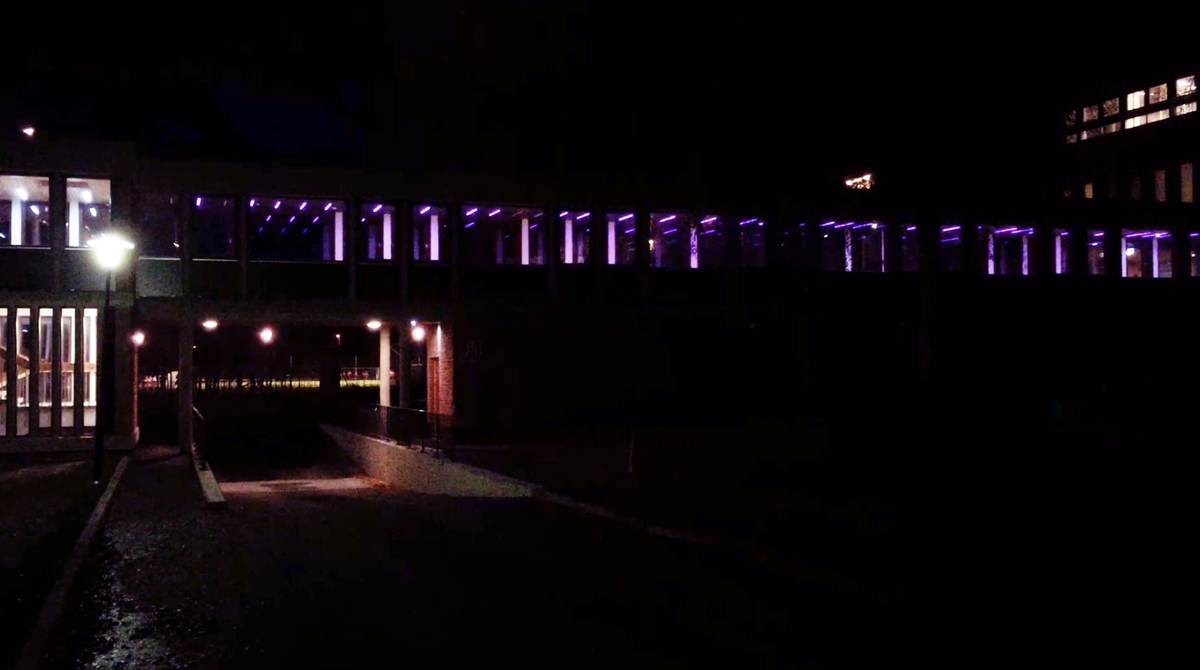 I den lange korridoren som binder hovedbygningen sammen med gymsalen er et stort antall lysarmaturer montert av kunstneren Børre Sæthre. RGB-LED-lysarmaturene, integrert i taket og programmert i forskjellige intervaller skaper en bølge av bevegelse. Sekvensene av intervaller er direkte inspirert av ulike bevegelsesmønstre fra idrett som for eksempel sommerfugl svømming eller skøyter. Slik har verket et direkte forhold til de daglige brukerne, da bevegelse er selve utgangspunktet for all forskning og aktivitet ved Idrettshøgskolen.
 
Korridoren har vinduer langs begge sider og et skarpt lys på dagtid, allikevel klarer LED-lysene å lyse trenge gjennom, og på kveldstid kan kunstverket ses på lang avstand i hele området.
 
Et stort antall studenter, ansatte og besøkende går gjennom korridoren hver dag. Mesteparten av tiden brukes korridoren som en del av transportetappe, en passasje fra ett sted til et annet. Allikevel kan området oppfattes som en rolig plass som noen ganger blir brukt som en form for rekreasjonsrom: et rom for alenetid eller for å ha et uformelt møte. Dette blir derfor et ideelt sted for en isolert kunstopplevelse, som forhåpentligvis utløser tilskuerens fantasi om hvilken form for bevegelse lysformasjonen representerer.

Hvert RGB-LED-armatur har 180 dioder i fargene rød, grønn og blå, og kan skape millioner av forskjellige farger og nyanser av lys. Kunstneren relaterer installasjonen til de klare og sterke farger som brukes i sport-tekstiler - for eksempel neonfarger. Den gjentatte strømmen av lys som representerer bevegelse, kan tolkes som byggets egne og fargerike puls.