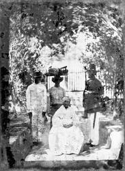 Tjänstefolk och vakt i svensk uniform hos den svenske guvern