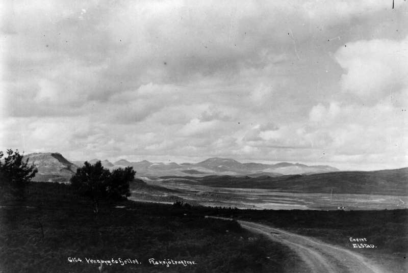 Ringebu. Trabelia. Mot Rondane. To ulike bilder på SS-JNE-6164. Speilvendt scan av 6164.A