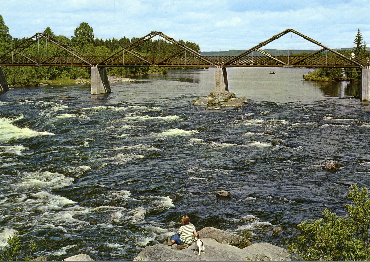 Brua over Klokkerfossen,Skogbruksmuseet,Elverum.Postkort.