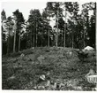 Hubbo sn, Alvesta.
Alvesta 3:1, grav 14 från sydväst. 1938.