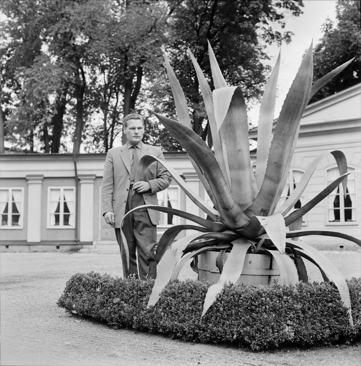 Linnéträdgården - "kvist av Linnéan kärt turistminne", Uppsala 1962