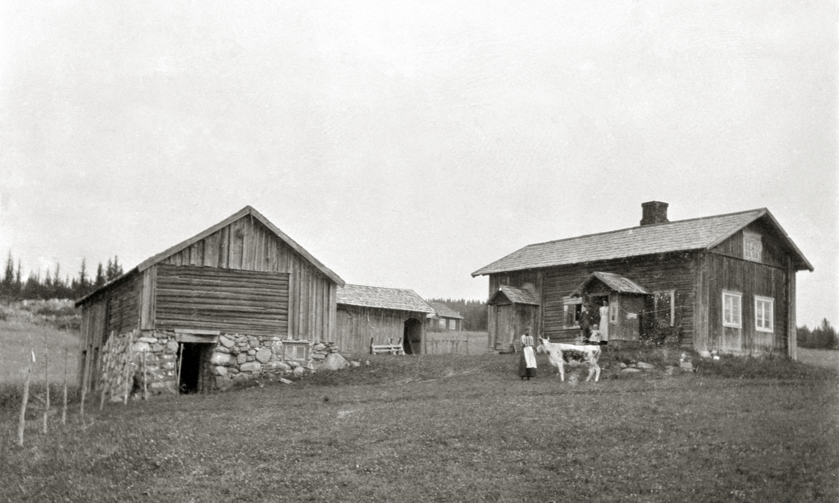 Eksteriør. Småbruket Staangstad, Furnes. Familiegruppe på trappa, dame med Telemarksku ute på tunet.