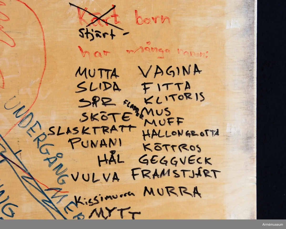 Sängbotten i trä avsedd för våningssäng i metall. Nedklottrad med text och bilder av mestadels sexistisk karaktär. Flertalet kommentarer berör muck och värnpliktens vardag i övrigt. En klisterlapp med Sjöfartsverkets tio sjövettsregler, liksom fem mindre klisterlappar från snusdosor av märkena Göteborgs rapé och General är fastsatta.