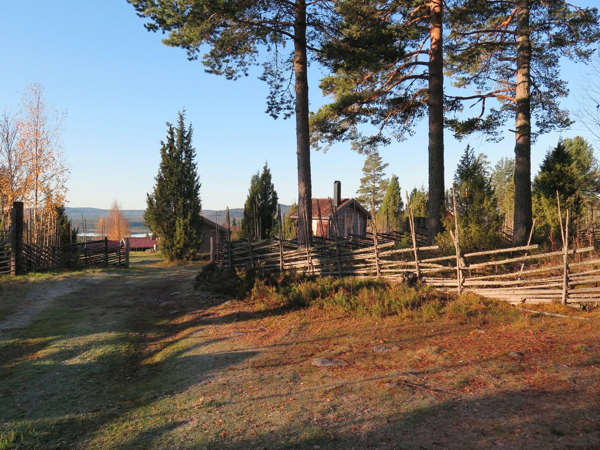 Stugor, Grejsans fäbod, Enviken, 2017.