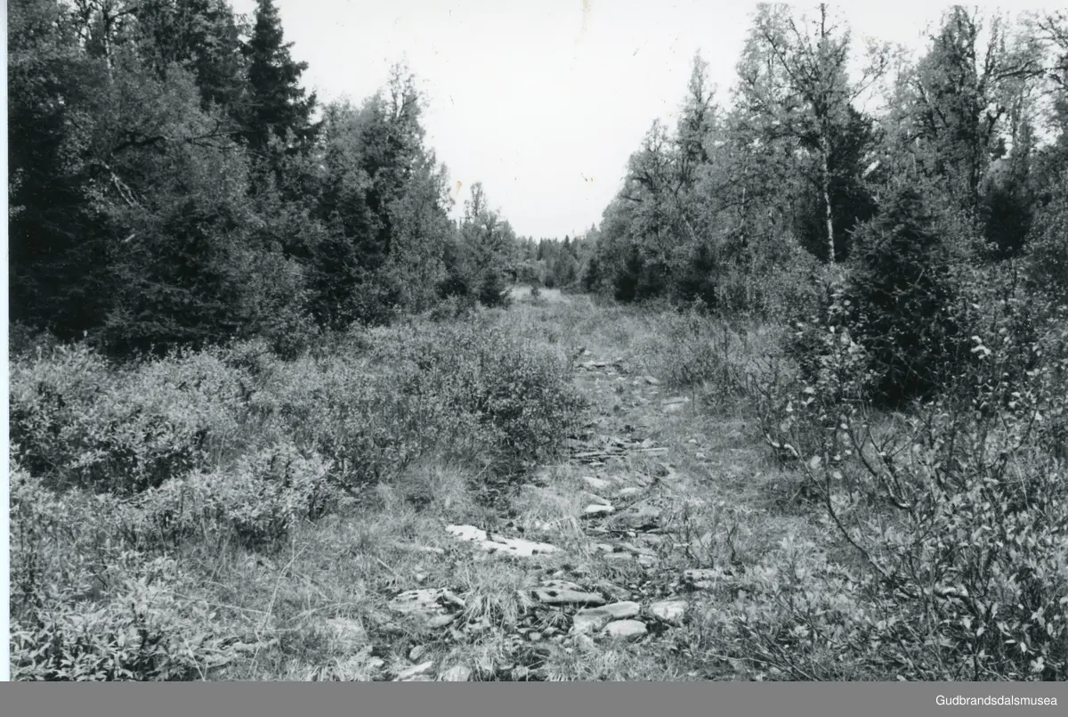 Ved Hjellsetera, Sør- Vekkom,Ringebu