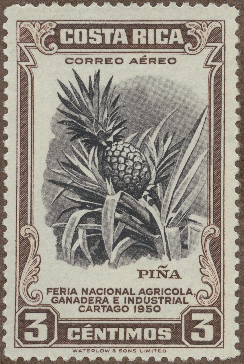 Frimärke ur Gösta Bodmans filatelistiska motivsamling, påbörjad 1950.
Frimärke från Costa Rica, 1950. Motiv av ananasplanta. "Flygpost". "Propaganda för Agrikultur- och Indistrimässan i Cartago, 1950".