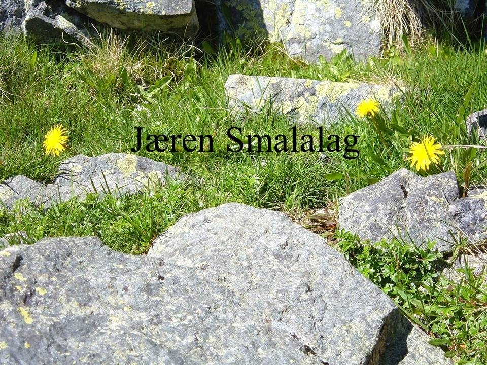 Microsoft PowerPoint presentasjon som presenterer "Jæren Smalalag". Bileta gir fakta om smalalaget, og viser nokre av lagets hytter og sauedrift i Setesdalsheiene.