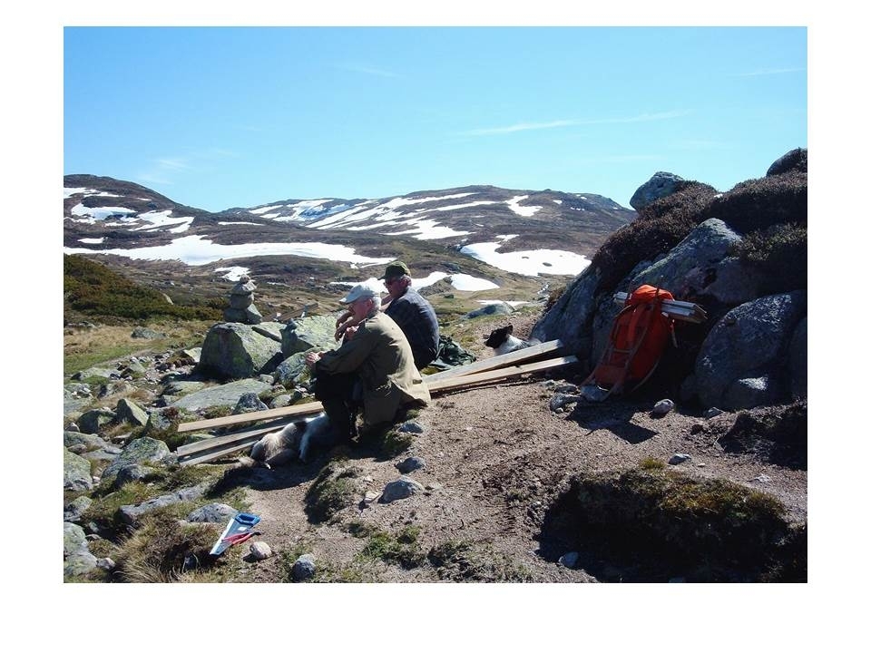 Svein Kåre Van der Blom, Erik Vigrestad, Karl Martin Mattingsdal og Martin Sikveland tar ein pause. Dei har med hundar og materiale for å settje opp sauagjerde. Langeidsheia i bakgrunnen.
