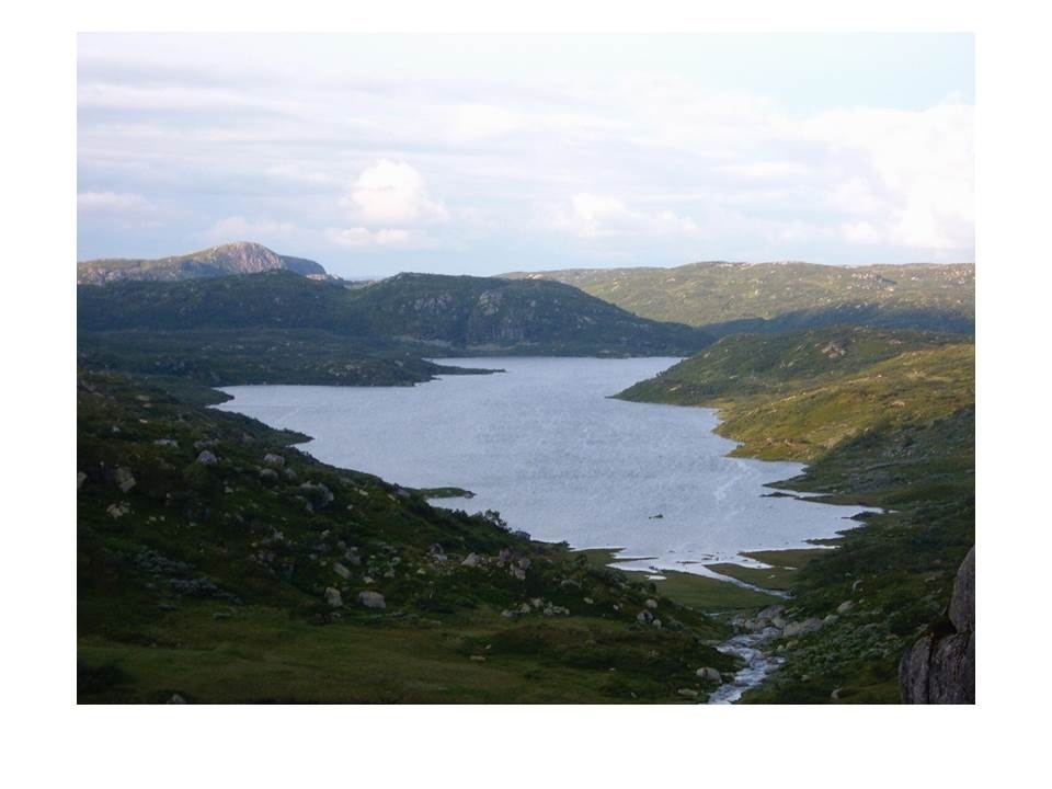 Microsoft PowerPoint presentasjon som presenterer "Jæren Smalalag". Bileta gir fakta om smalalaget, og viser nokre av lagets hytter og sauedrift i Setesdalsheiene.