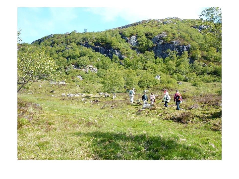 Deltakarar frå ein veterinærkongress følgjer sauer innover mot Fidjastølen i Gjesdal kommune.