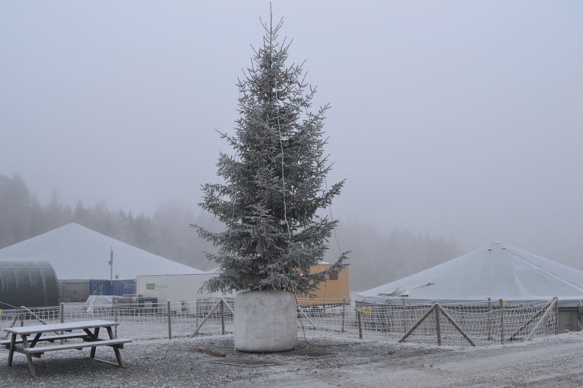 Tur for ansatte ved NMBU (Norges miljø- og biovitenskapelige universitet) til Ås for å bli kjend med NMBU og det dei arbeider med på Ås. Dei såg på sauar, geiter, kyr, fór og fóringsmaskiner.