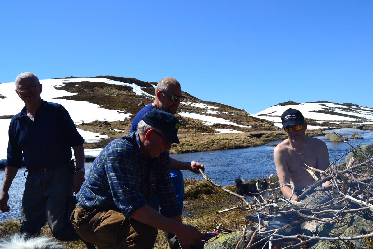 Asbjørn Haga, Karl Martin Mattingsdal, Martin Siqveland, Mette Østerhus og etter hvert Odd Einar Lundervold i Langeidsheia for å sette opp gjerder før sauene jages ut på beite. Noen steder fikk de ikke satt opp skikkelig gjerde på grunn av snø. Mye regn førte til høy vannføring i elver og bekker.