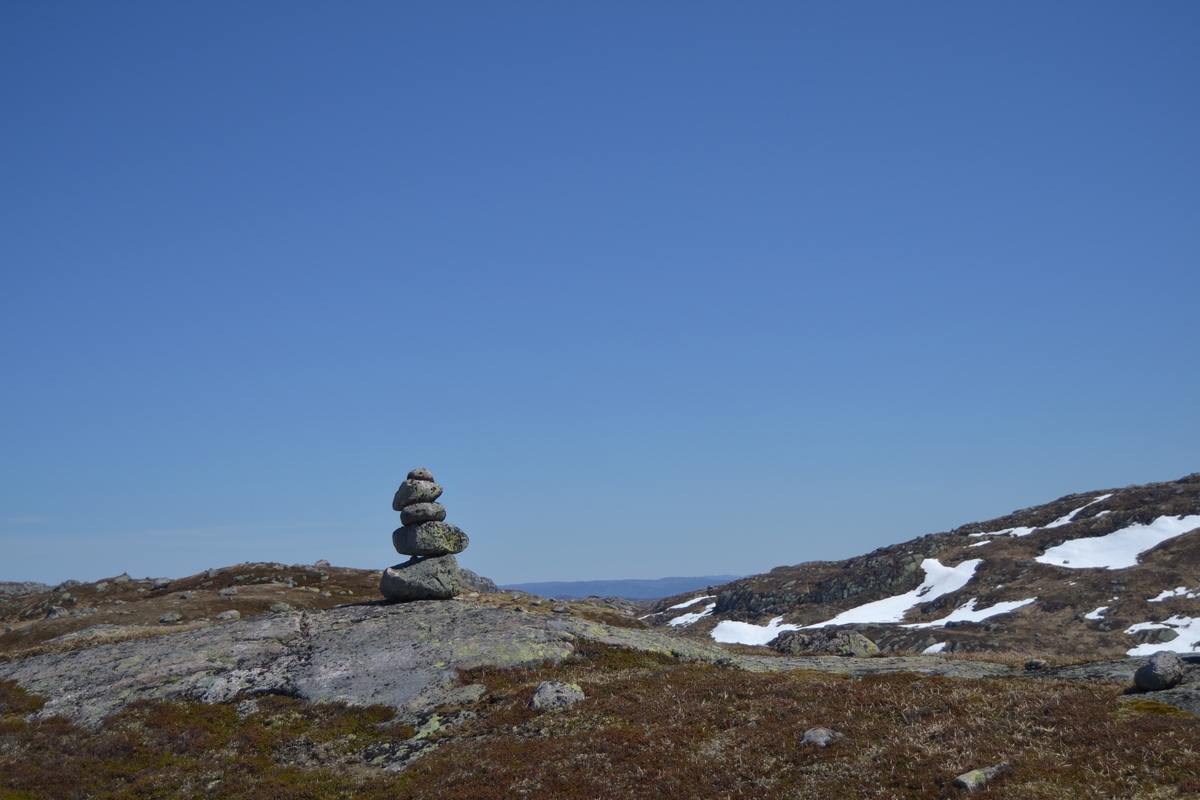 Asbjørn Haga, Karl Martin Mattingsdal, Martin Siqveland, Mette Østerhus og etter hvert Odd Einar Lundervold i Langeidsheia for å sette opp gjerder før sauene jages ut på beite. Noen steder fikk de ikke satt opp skikkelig gjerde på grunn av snø. Mye regn førte til høy vannføring i elver og bekker.