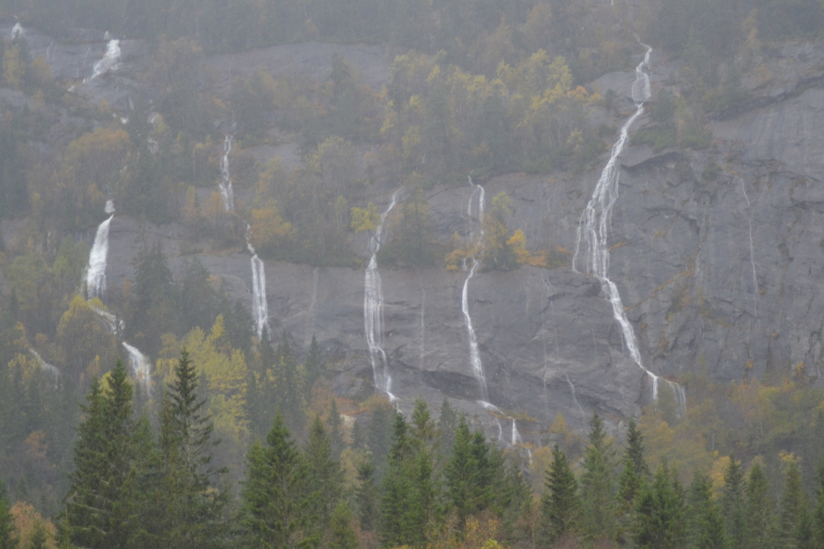 Asbjørn Haga skulle vere med på ettersanking av sauer i heia, men flaum gjorde at dei måtte vente til neste helg. Det var mykje vatn i Langeid. Dei tok med ein flokk med sauer som noken andre hadde tatt ned frå heia.