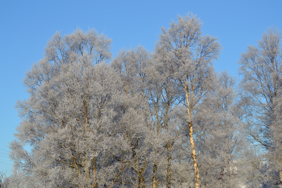 Vinterbilder frå Tjessheim.