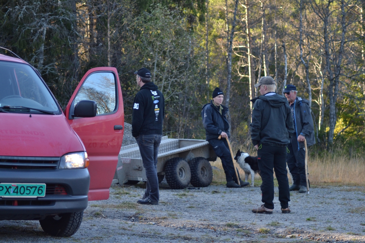 Asbjørn Haga, Marit Taksdal, Karl Marting Mattingsdal, Øyvind Jonasen, Tarjei Tjørhom og Kjell Johnny Lundtveit på ettersanking ved Langeid i Bygland. Dei fann nokre sauer til ein annen eigar i Setesdal og nokre av Marit Taksdal og Kjell Johnny Lundtveit sine sauer. Ein sau var skada og måtte fraktast med 6-hjuling. Dei fekk og skyss innover "Tyskervegen", ein veg bygd av tyskarane under 2. verdskrig.