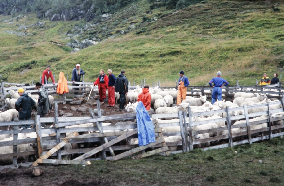 Det nærmer seg slutten på skiljinga.