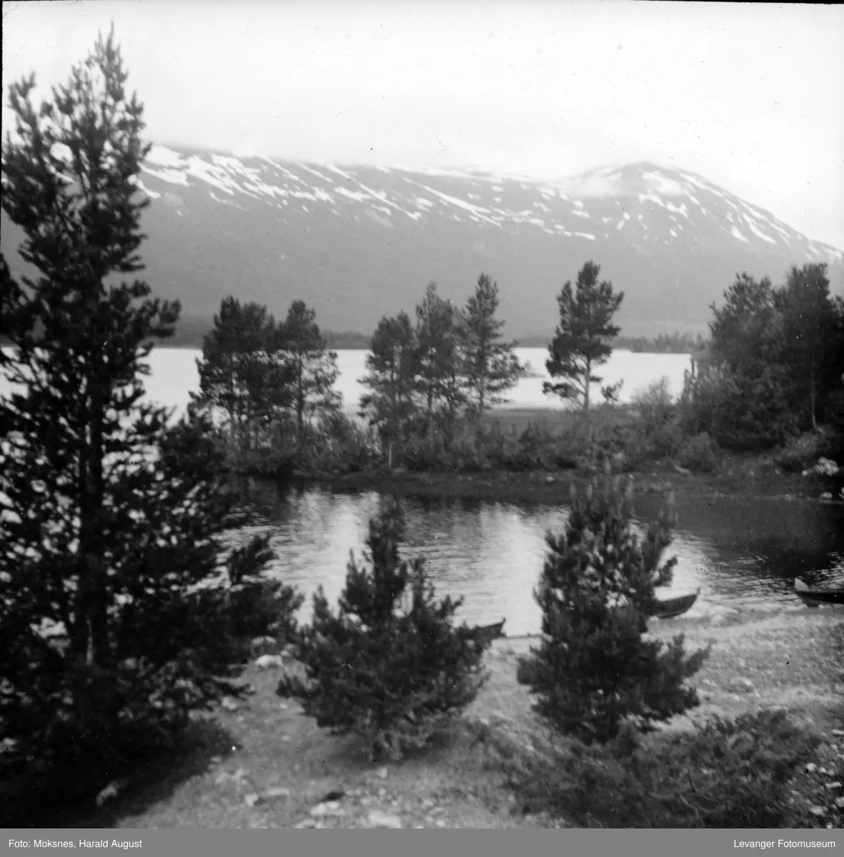Innsjø på fjellet. -Levanger Fotomuseum / DigitaltMuseum