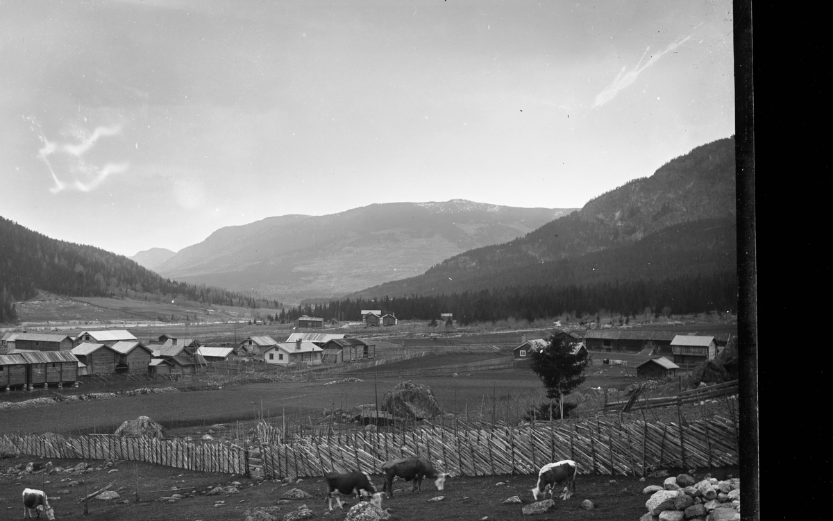 Herad omkring år 1900
Til høgre er Øvre Frøysok (Nilsegarden), vidare mot venstre Nedre Frøysok (Trulsegarden) og Hoftun nedre/nørdre (Nigarden). I bakgrunnen Hagen