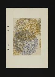 Blomma [Mönsterskiss]