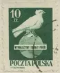 Frimärke ur Gösta Bodmans filatelistiska motivsamling, påbörjad 1950.
Frimärke från Polen, 1950. Motiv av fredsduva på jordglob.