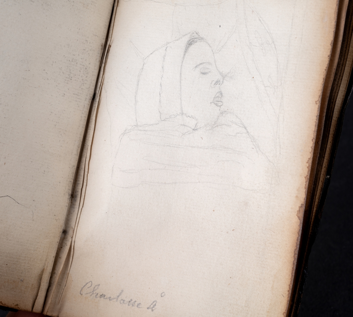 Skissbok med studieporträtt i blyerts av Wilhelmina Lagerholm (1826-1917).  Skisserna är förmodligen tecknade i Örebro under våren och sommaren 1850. I november samma år flyttade Wilhelmina Lagerholm till Stockholm för att studera teckningskonst och måleri. Boken är skadad genom brand. Några av bilderna är daterade och flera har namn på den avporträtterade. De föreställer släktingar, familjemedlemmar samt vänner och bekanta i Örebro.
Finns i OLM-PS-15, F:5