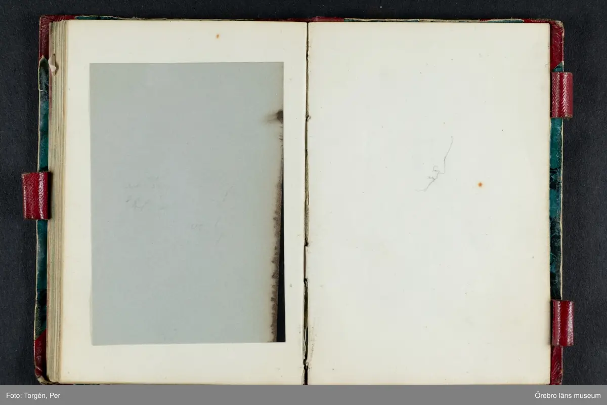 Skissbok med studieporträtt i blyerts av Wilhelmina Lagerholm (1826-1917).  Skisserna är förmodligen tecknade i Örebro under våren och sommaren 1850. I november samma år flyttade Wilhelmina Lagerholm till Stockholm för att studera teckningskonst och måleri. Några av bilderna är daterade och flera har namn på den avporträtterade. De föreställer släktingar, familjemedlemmar samt vänner och bekanta i Örebro.
Ingår i PS-15 Juliana Mannerfelt (W:s faster), F:5 Skissböcker, mm. Wilhelmina Lagerholm.