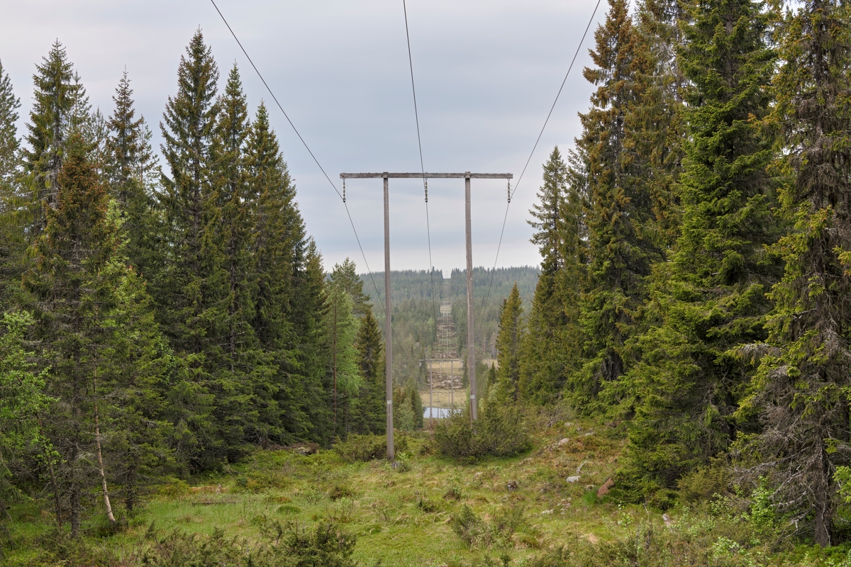 Kraftgate nær Enberget på Finnskogen, Våler kommune, Hedmark. Mot elva Halåa. Kraftledninger mellom Lutnes og Elverum. I forbindelse med utbyggingen av Kjølberget Vindkraftverk, som nettopp hadde startet da bildet ble tatt, var det planer om modernisering og utvidelse av kraftgata for å forbedre kapasiteten. Etter at det i 2014 ble gitt konsesjon til bygging av Kjølberget vindkraftverk og tilhørende 66 kV tilknytningsledning, besluttet Eidsiva Nett å oppgradere 66 kV ledningen mellom Elverum, Lutufallet og Trysil, og øke spenningen til 132 kV. Kraftledning. Kraftledninger. Krafttransport.