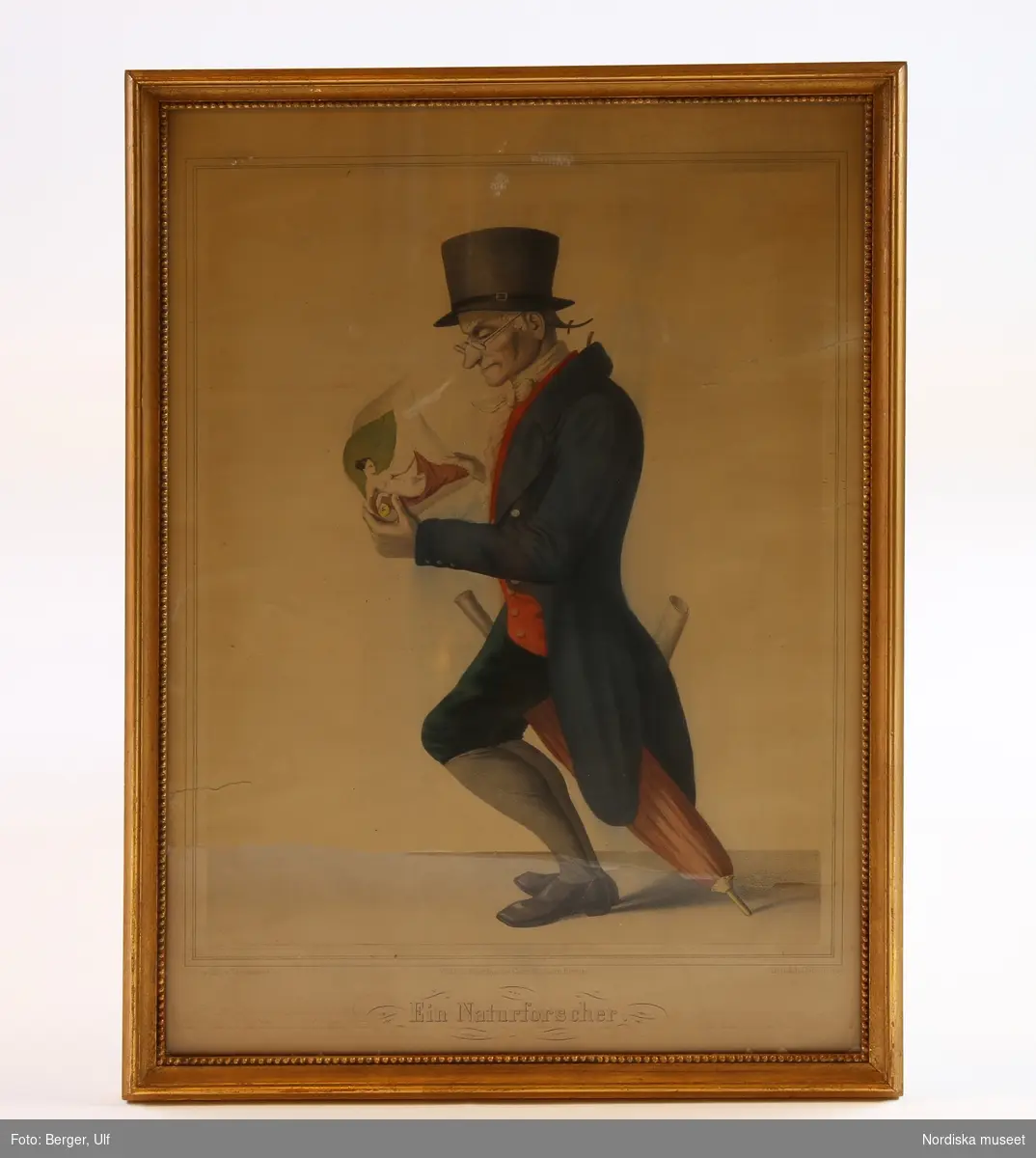 Man i helfigur profil, halvsittande på sitt paraply, tittar på litografi av naken kvinna.